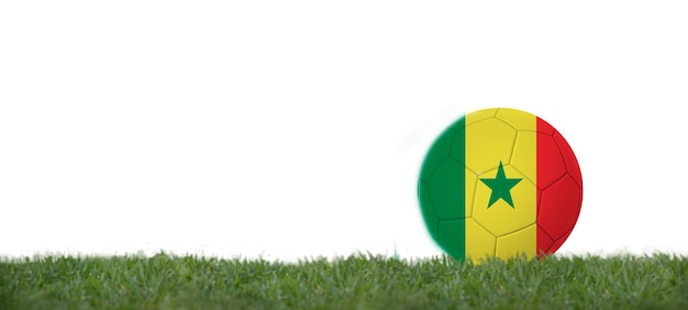 Photo 3d illustration senegal flag on soccer ball on grass copy space with white background