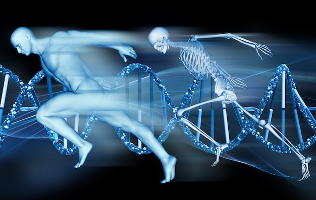 3D medical background with male figure and skeleton sprinting on DNA strands