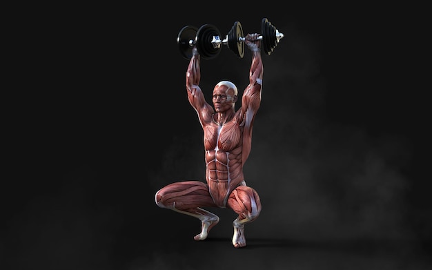 A 3d model of a man lifting a barbell.