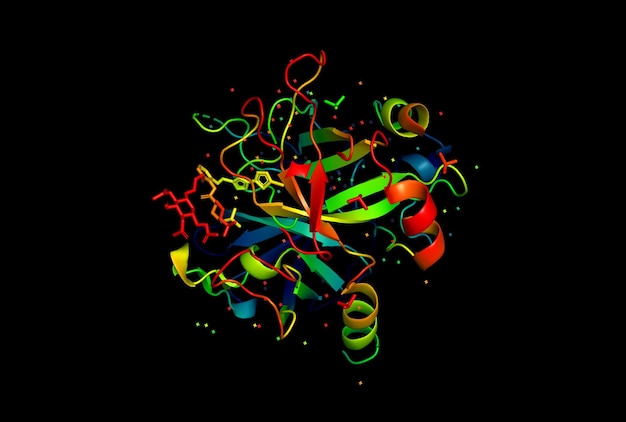 3D model of a protein molecule