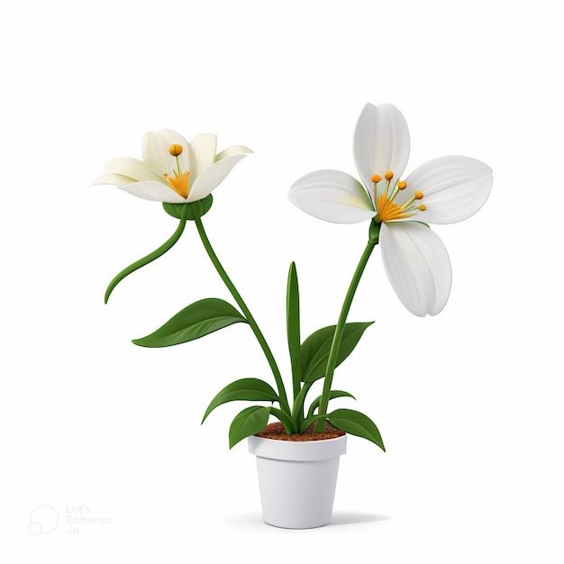 3d plant plant render flower