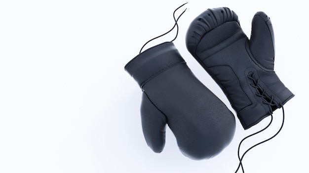 3D render of black Pair of boxing gloves on white background