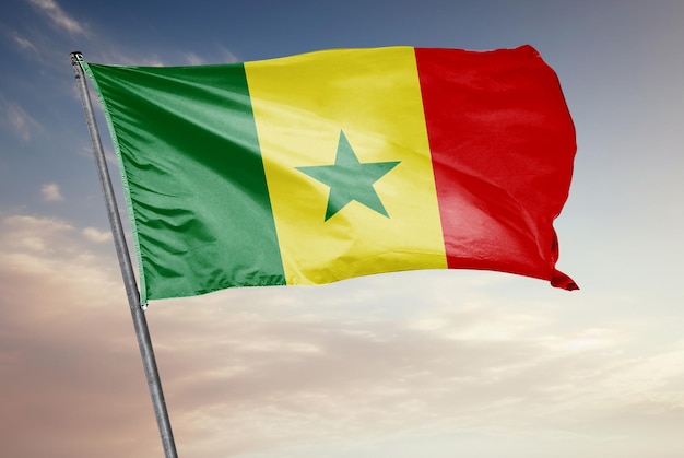 Photo a 3d render flag that has the word senegal on it