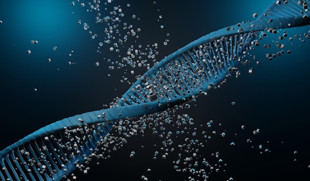 3d render Helix complementary strand of DNA of RNA Sequences genetic code or genome Gene expression nucleotide database The Central Dogma process of transcription and translation Human gene