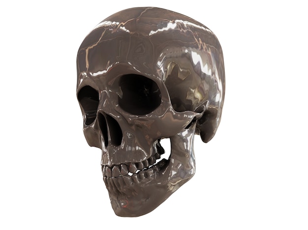 3d render of Human skull on white background with clipping path