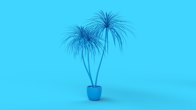 3d render palm tree in a pot art background of blue color