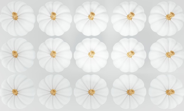 3d render Pattern of white pumpkins on a white background Creative autumn composition 3d illustration