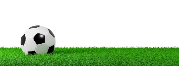 3D render Soccer ball on grass field banner with clipping path