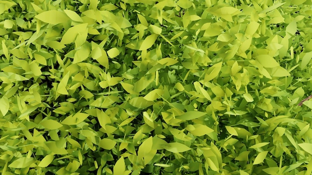 3d render with abstract green leaves on background