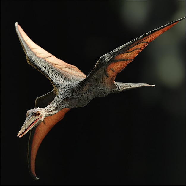 3d rendered photo of pterodactyl