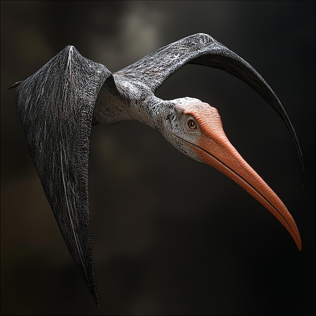 3d rendered photo of pterodactyl