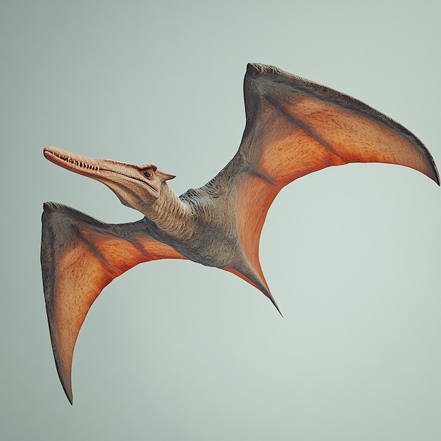 3d rendered photo of pterodactyl