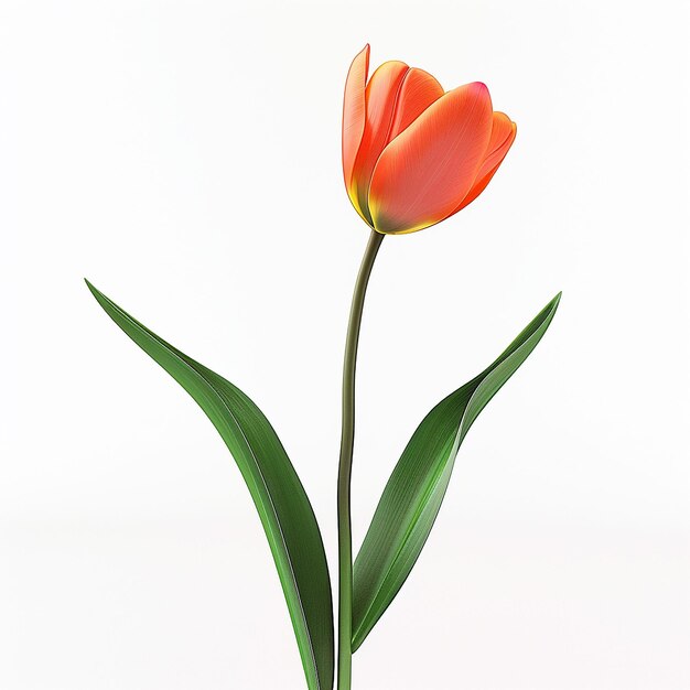 3d rendered photos of slightly tilted downward One blooming colored tulip simple style