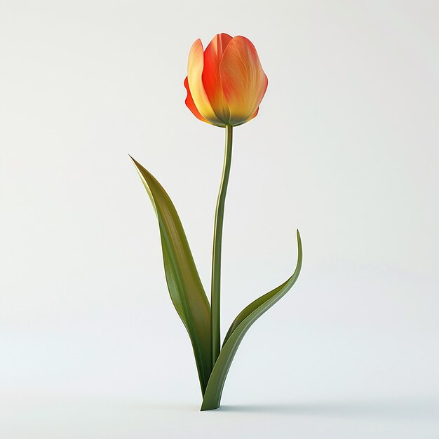 3d rendered photos of slightly tilted downward One blooming colored tulip simple style