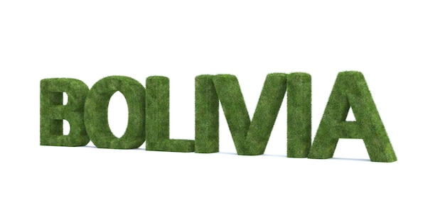 3d rendering of Bolivia word isolated on white background