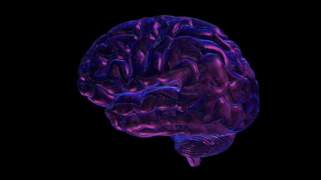 3D rendering of a computer model of a human brain