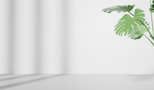 3D rendering of empty room with Monstera leaves