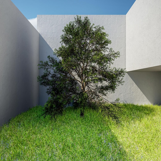 3d rendering grass garden with tree and wall