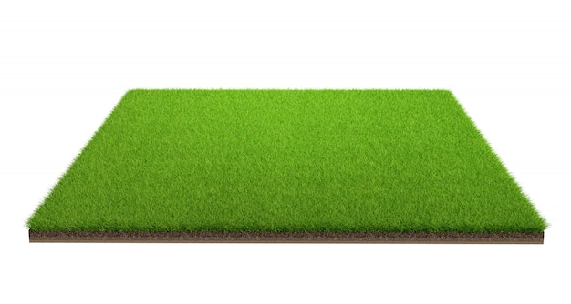 3d rendering of green grass field isolated on a white background with clipping path. Sports field.