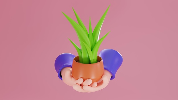 3D Rendering Hands holding plant on pink background