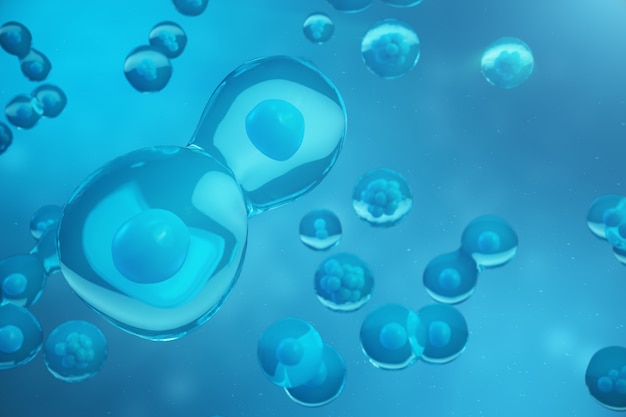 3D Rendering human or animal cells on blue background. Concept Early stage embryo Medicine scientific concept, Stem cell research and treatment.