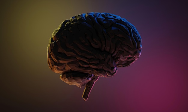 3d rendering illustration of human brain, healthcare of neuron cell, science and researching