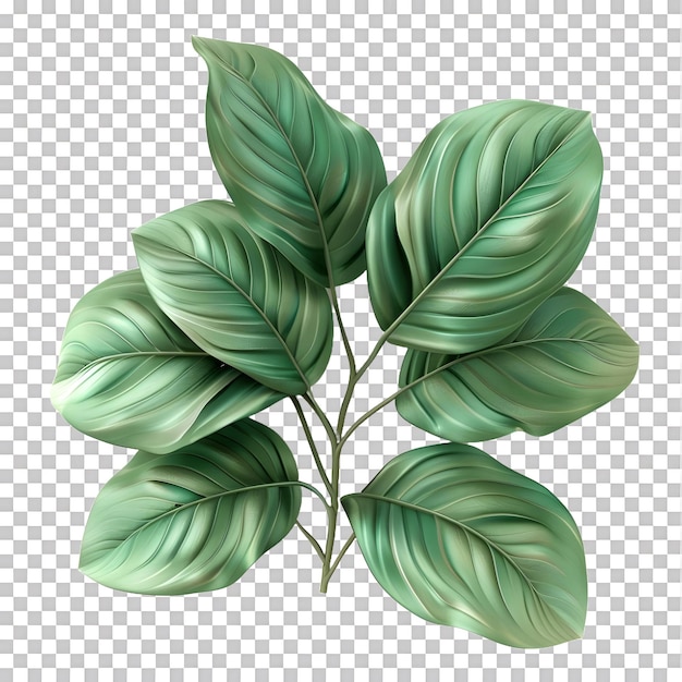 A 3D rendering of a leaf icon isolated on white