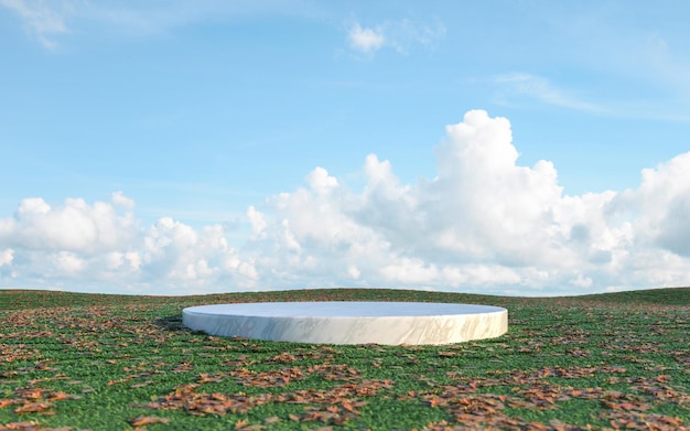 3D Rendering of marble podium backdrop with grass field and sky background