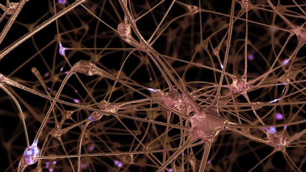 3D rendering of a network of neuron cells and synapses through which electrical impulses and discharges pass during the transmission of information inside the human brain