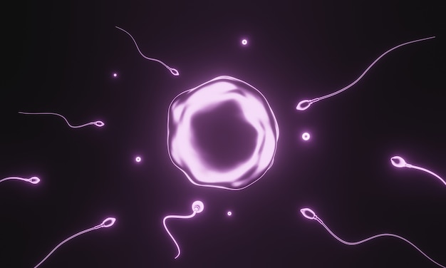 3D rendering Pink sperm and egg cell