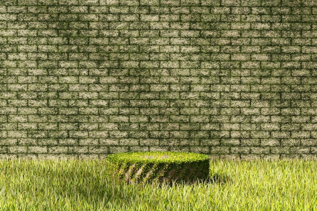 3D rendering platform podium with grass plant product presentation background