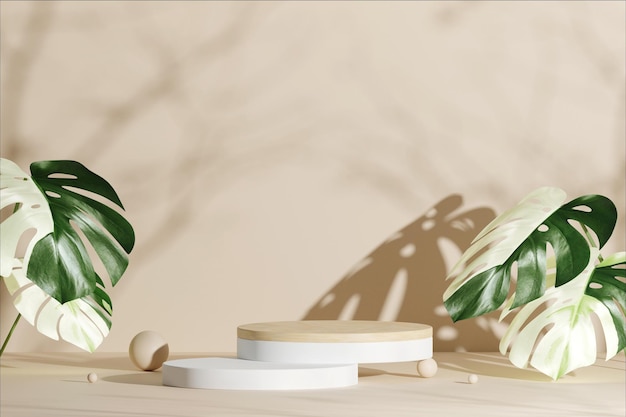 3D Rendering product display podium with monstera leaves