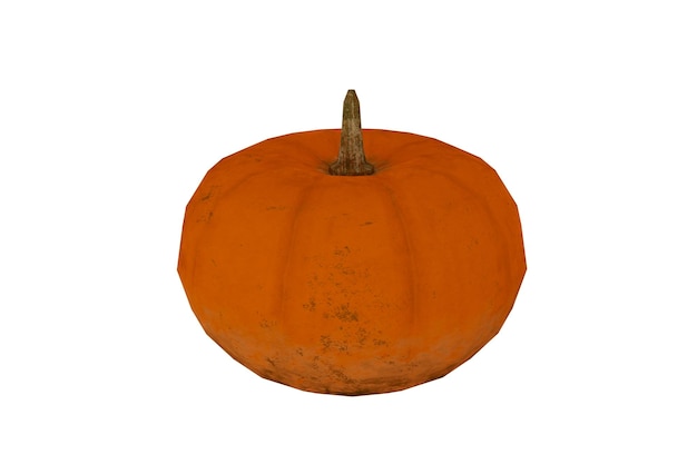 3d rendering realistic big pumpkin