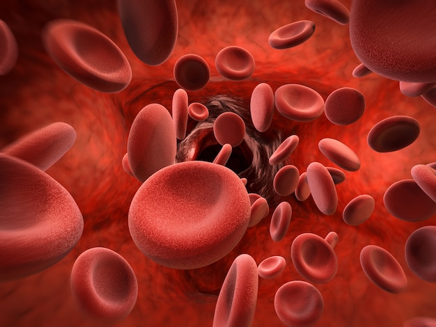 3d rendering red blood cells in vein