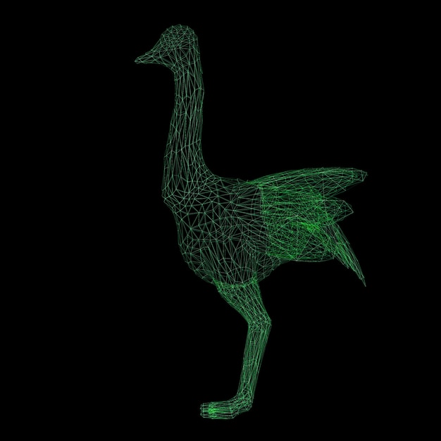 3d rendering wireframe polygonal ostrich isolated on black