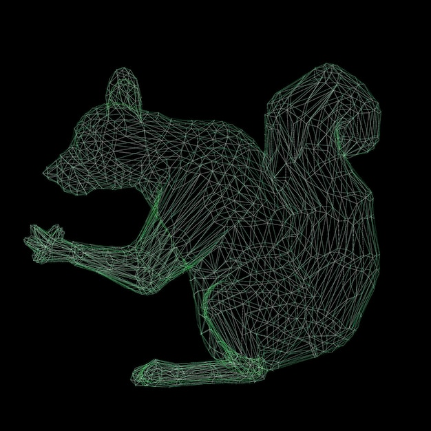 3d rendering wireframe polygonal squirrel isolated on black