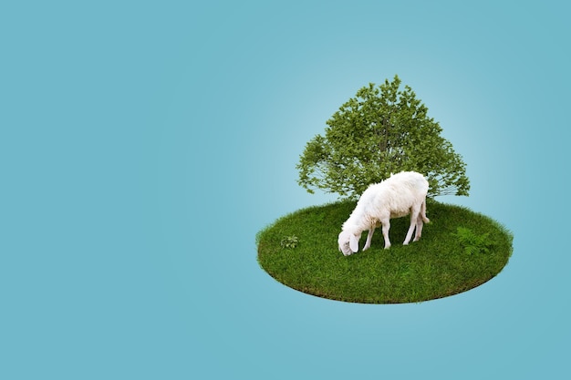 3D Rendering Young white sheep eating green grass on the field with big tree Eid Adha Concept