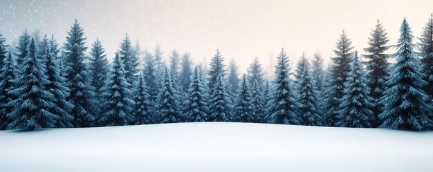 A 3D scene of an evergreen forest in winter with snow gently falling and a clear space for text in the foreground