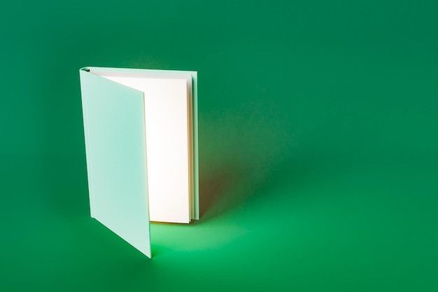 3D textbook placed against green background