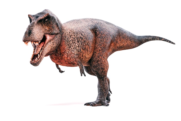 3d Tyrannosaurus rex render on white background