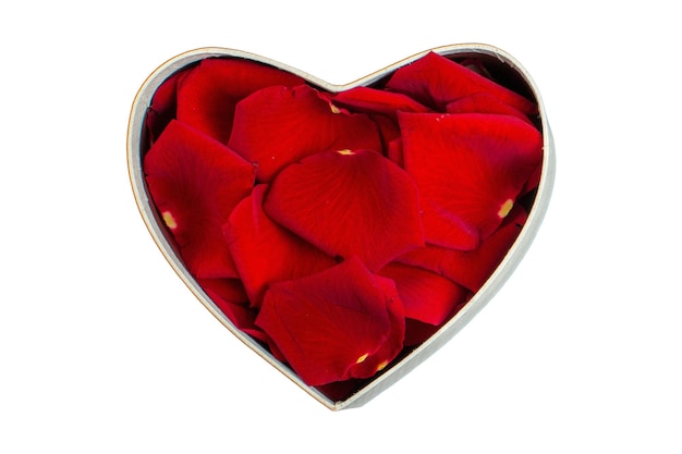 4524 Red petals of roses on a heart box isolated on a transparent background