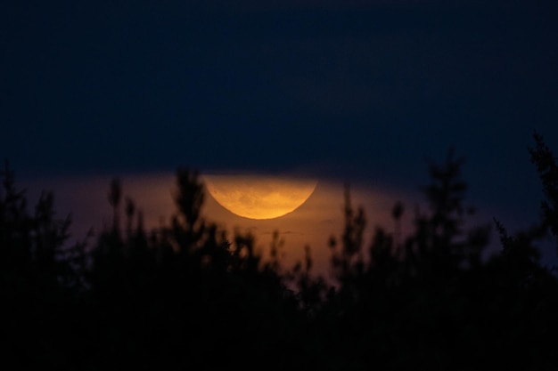 Photo 4k ultra hd image of scenic view of orange moon lighting up alpine forest