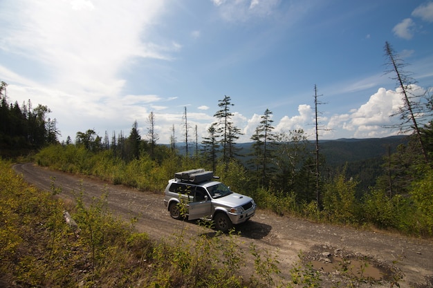 4x4 car stopped its run to make a photo in this beautiful forest