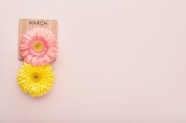 8 March International Womens Day Two gerberas pink and yellow pink envelope on pink background Copy space Mock up Flower concept Design pattern 8 march holiday