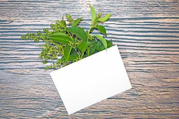 A5 paper greeting card mockup with green leaves