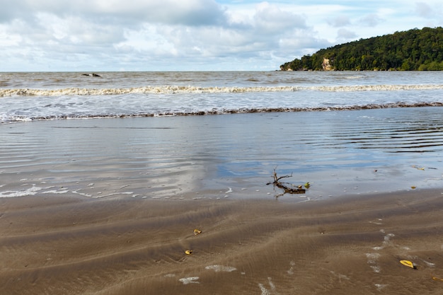 Abandoned beach with branch on sand and sea water