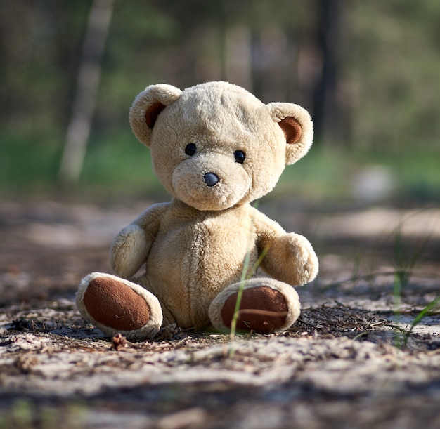 Abandoned brown teddy bear sitting in the middle of the forest in the evening