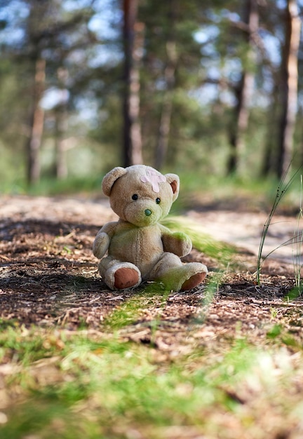 Photo abandoned brown teddy bear sitting in the middle of the forest