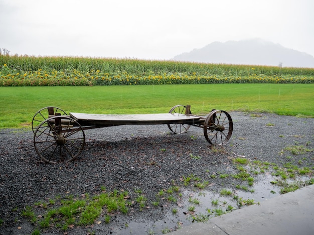 Abandoned horse cart beside the farm field on a rainy day