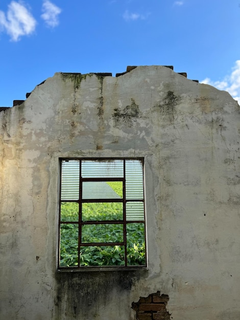 Abandoned house on a farm in Brazil Broken windows with soybean plantation background